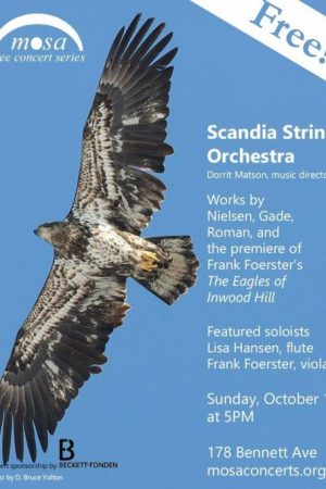 2015 new york scandia symphony